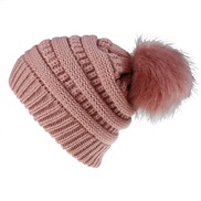 (  Pink)Autumn and Winter Imitation leather fox hat lady knitting occidental style leisure fashion hat