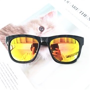 ( bright black red  Mercury ) samll lady sunglass Colorful  Korean style fashon trend gft Sunglasses
