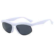 ( while frame gray  Lens )fashon Sunglasses man sunglass ant-ultravolet occdental style sunglass