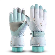 (Free Size )( green dogSK)Winter skiing glove lady sport wind glove velvet Non-slip touch screen glove