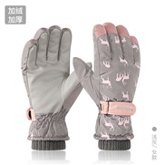 (Free Size )( Light graySK )Winter skiing glove lady sport wind glove velvet Non-slip touch screen glove