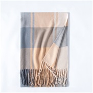 (65*185CM)( gray ) imitate sheep velvet scarf Winter scarf woman shawl thick warm tassel Collar