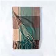 (65*185CM)( green) imitate sheep velvet scarf Winter scarf woman shawl thick warm tassel Collar