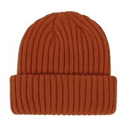 ( lattice)occidental style child knitting hat  Autumn and Winter warm Stripe color man woman woolen