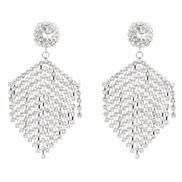 ( Silver)earrings super claw chain series Alloy diamond tassel earrings woman occidental style geometry arring