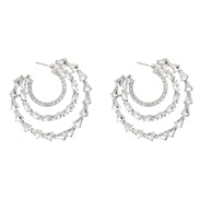 ( Silver)earrings fas...