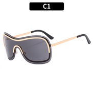 (C  gold frame  gray  Lens )occidental styleY sunglass fashion highns Sunglasses sunglass