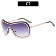 (C  silver frame  Double gray  Lens )occdental styleY sunglass fashon hghns Sunglasses sunglass