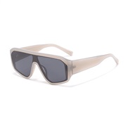 ( gray  frame  gray  Lens )occdental style fashon sunglass  man sun Sunglasses
