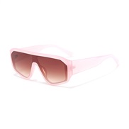 ( champagne frame  tea  Lens )occdental style fashon sunglass  man sun Sunglasses