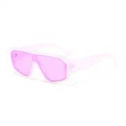 ( purple  frame  purple  Lens )occdental style fashon sunglass  man sun Sunglasses