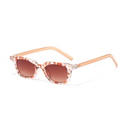 ( transparent frame  tea  Lens ) personalty sunglass  fashon cat sunglass ladyns Sunglasses ant-ultravolet