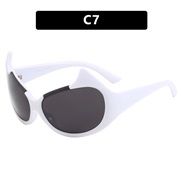 ( while  gray  Lens ) sunglass sunglass personalty Sunglasses