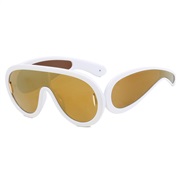 ( while frame gold ) sunglass occdental style sunglass Outdoor Sunglasses