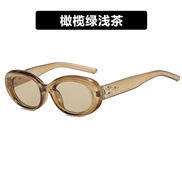 ( tea )retro Ellpse sunglass Korean style Sunglasses occdental style hghns sunglass