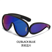 ( Black frame ) Sunglasses occdental style style personalty sunglass