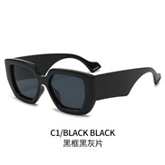 ( Black frame  Black grey  Lens )occidental style Sunglasses woman fashion sunglass man