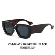 ( Black frame  Black grey  Lens )occdental style Sunglasses woman fashon sunglass man