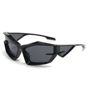 ( Black frame  gray  Lens )occdental style sunglass Y Sunglasses sunglass