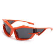 ( frame  gray  Lens )occdental style sunglass Y Sunglasses sunglass