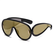 ( Black frame  gold ) sunglass occdental style sunglass Outdoor Sunglasses
