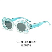 ( blue  frame  Lens )leopard retro sunglass woman occdental style Sunglasses Ellpse personalty trend