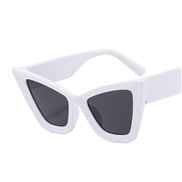 (C  while frame gray  Lens )occdental style lady cat sunglass color pattern trend Sunglasses