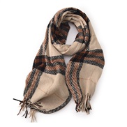 (63*180cm)( light brown)scarf girl student Autumn and Winter Double surface all-Purpose high warm imitate sheep velvet 