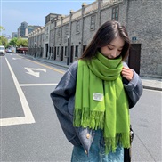(70*200CM)( g  )g pure color imitate sheep velvet scarf woman Winter thick warm tassel color shawl scarf