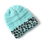 (sky blue )occidental style Autumn and Winter woolen lady warm leopard knitting hat