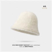 ( one size)(DMZ ;Rice white )Winter warm Bucket hat woman thick big head samll velvet hatD