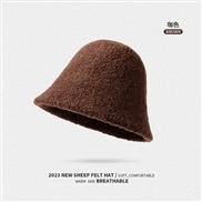 ( one size)(DMZ  ;)Winter warm Bucket hat woman thick big head samll velvet hatD
