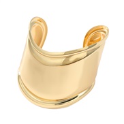 ( Gold)Autumn and Winter Alloy bangle exaggerating occidental style woman trend Metalbracelet