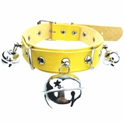 ( yellow) dayzier woman Collar leather necklace