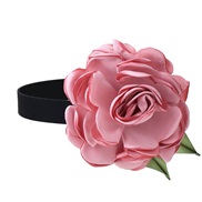 ( Pink)elegant flower...
