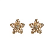 ( champagne)Korean style Five-pointed star zircon exaggerating ear stud woman temperament occidental style retro color 