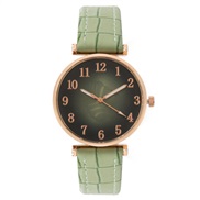 ( green) tree dgt lady watch woman watch-face quartz watch-face belt style wrst-watches