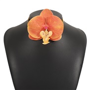 ( Orange necklace)occ...