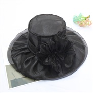 ( black)flowers nets yarn retro elegant Double layer sun hat foldable sunscreen big woman summer