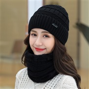 ( black)  hat woman Winter Korean style all-Purpose woolen  lady warm two