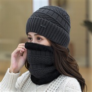 ( gray)  hat woman Winter Korean style all-Purpose woolen  lady warm two