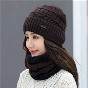 ( Dark coffee color)  hat woman Winter Korean style all-Purpose woolen  lady warm two
