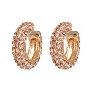 ( champagne)all-Purpose ear stud  embed fully-jewelled fashion adies earrings  elegant Korean style zircon ear stud