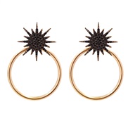 ( black)Metal pendant earrings occidental style brief geometry Alloy earring personality all-Purpose female Earring