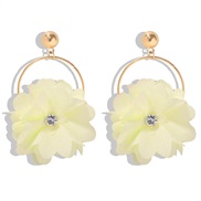 Korea all-Purpose flowers diamond earrings woman fresh sweet Cloth arring