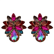( Color) occidental style  fresh flowers bag fully-jewelled temperament woman fashion ear stud
