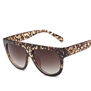 ( leopard print Gradual change Lens )lady sunglass  occdental style fashon women trend sunglass  personalty cat Sunglas