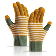( yellow)knitting glove woman  Double layer velvet thick touch screen mitten Outdoor warm glove