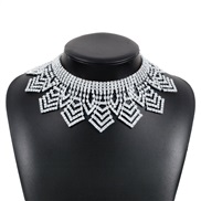 ( White K)occidental style exaggerating fully-jewelled tassel necklace  temperament elegant geometry Irregular claw cha