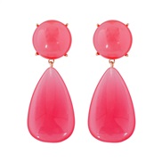 (57521 PK)retrovintage drop resin earrings occidental style brief all-Purpose geometry earring Autumn and Winter Earring